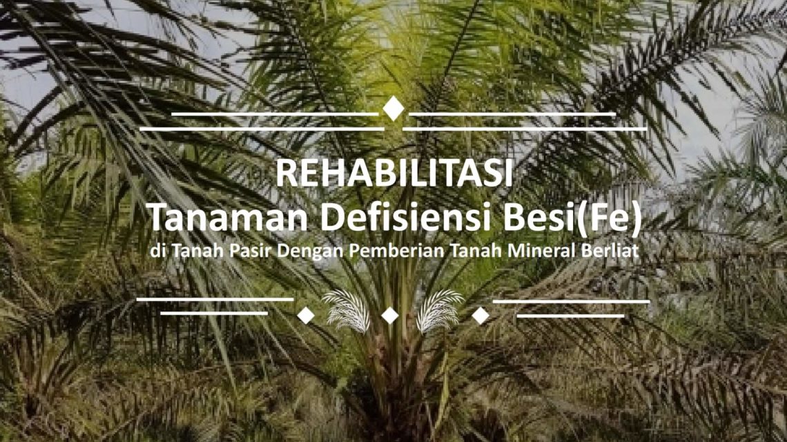 Rehabilitasi tanaman Defisiensi Besi (Fe) 01