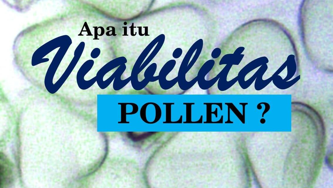 Viabilitas Pollen 01