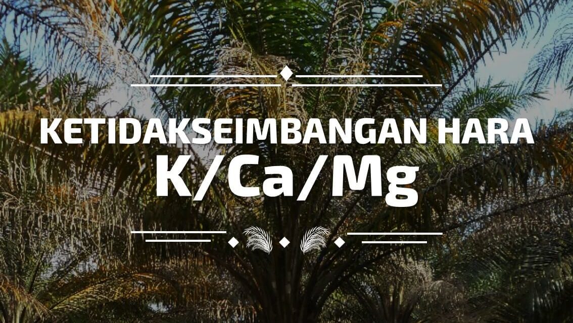 Dampak Ketidakseimbangan Hara 01