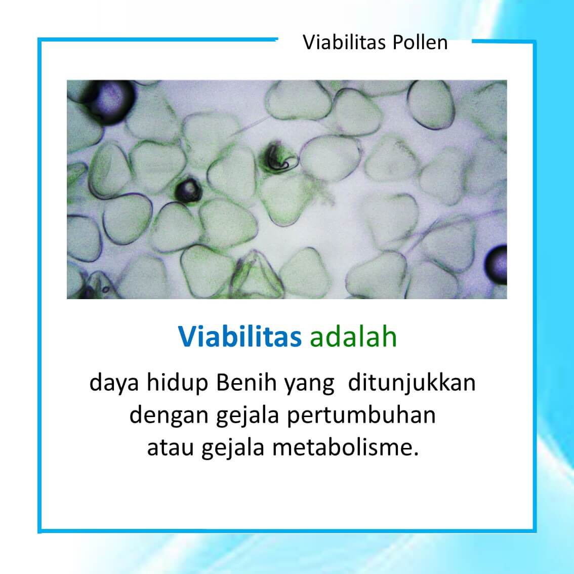 Viabilitas Pollen 02