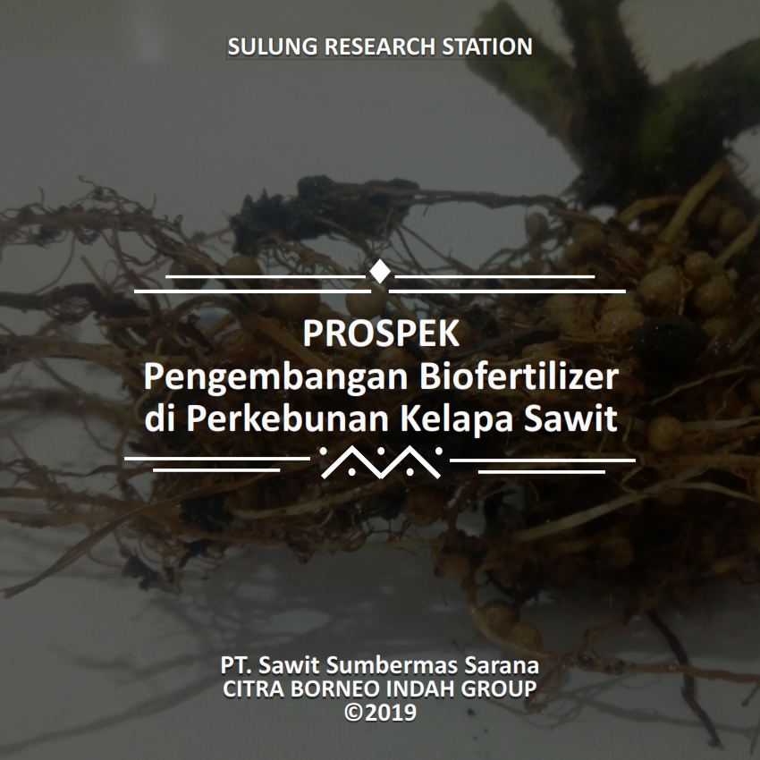 Prospek Pengembangan Biofertilizer di Perkebunan Kelapa Sawit 01