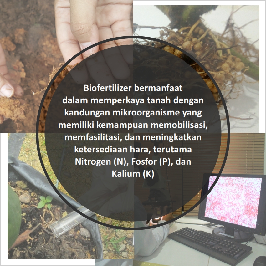 Prospek Pengembangan Biofertilizer di Perkebunan Kelapa Sawit 03