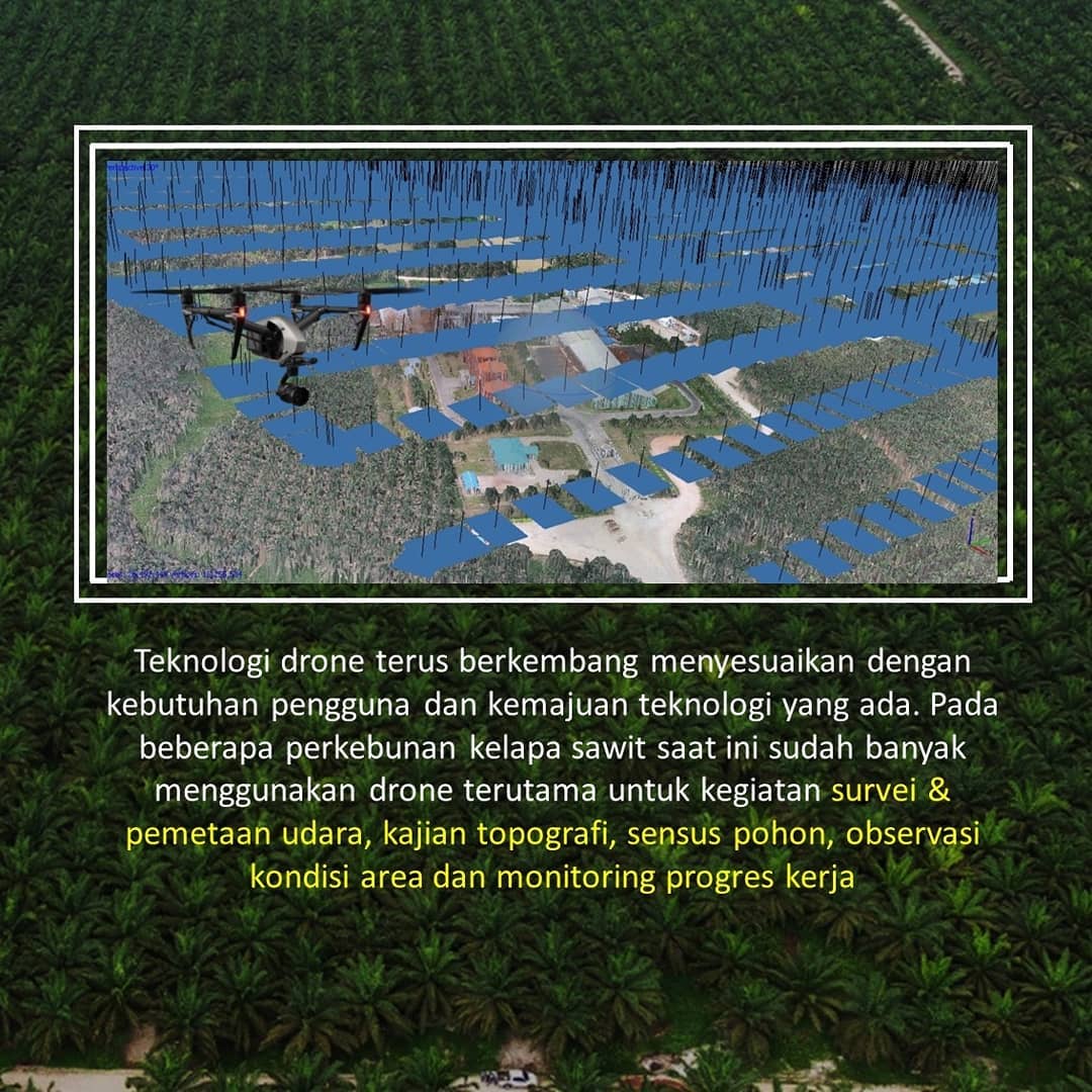 Sulung; Research; SulungResearchStation; Minyak; Sawit; Citraborneo; Industri; Pertanian; Palmoil; CPO; Penelitian;