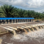 Sulung Research Station : Kembangkan Automatic Water Pump berbasis IoT sebagai Sistem Pengelolaan Air dan Early Warning Banjir di Perkebunan Kelapa sawit
